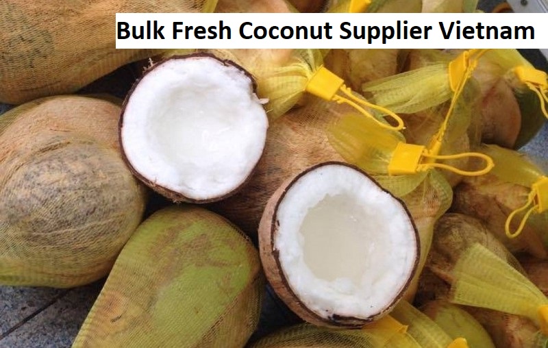 Bulk Fresh Coconut Supplier Vietnam