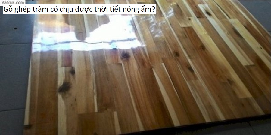 Gỗ ghép tràm có chịu được thời tiết nóng ẩm?