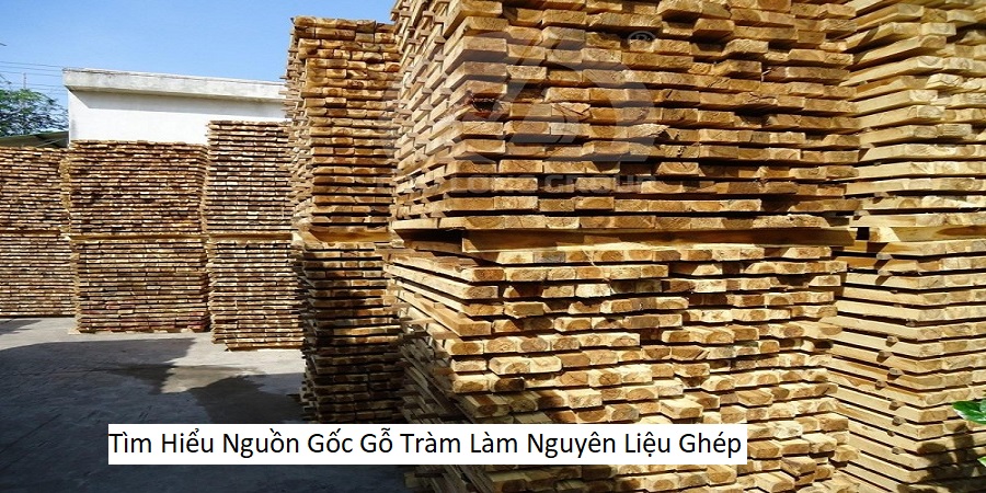 Tìm Hiểu Nguồn Gốc Gỗ Tràm Làm Nguyên Liệu Ghép